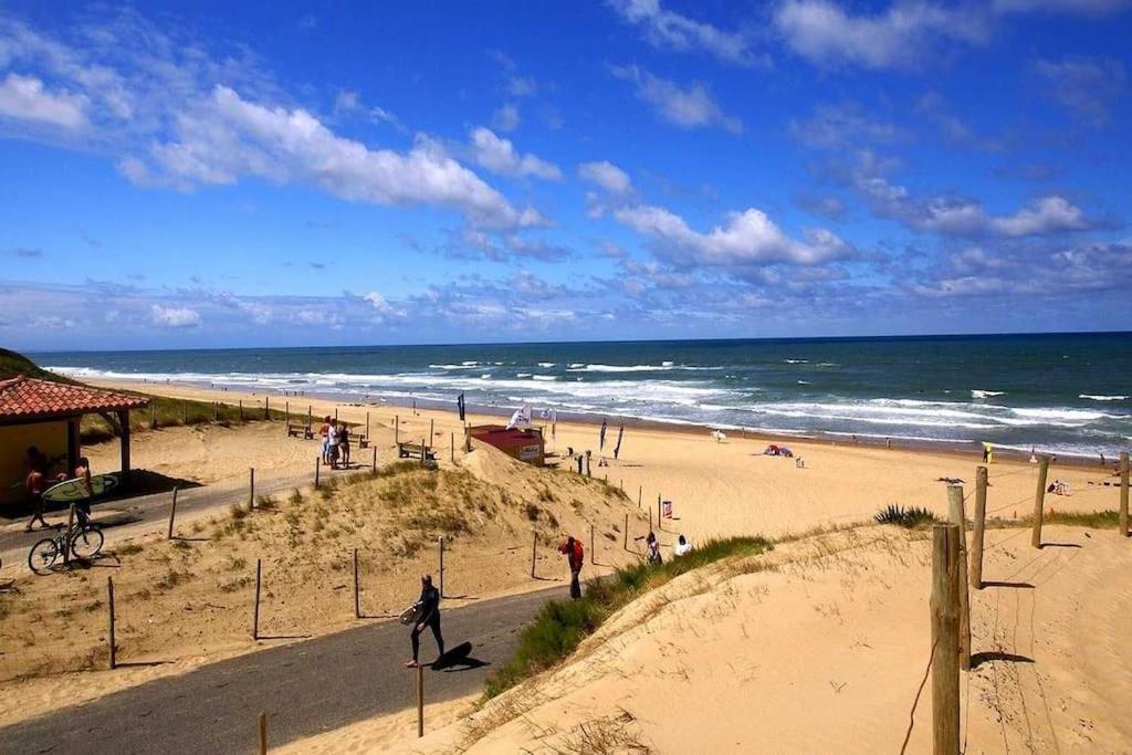 Dune Blanche 300 M De L'Ocean, Appartement Neuf 6 Personnes Seignosse Exteriör bild